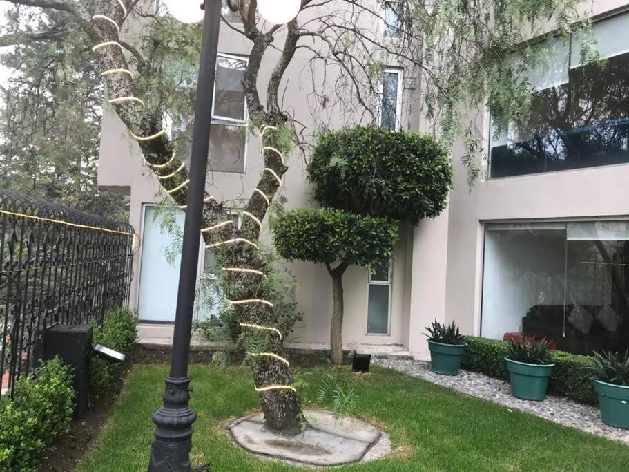 Hermoso Departamento En Bosques De Las Lomas Dos Habitaciones Mexico City Luaran gambar